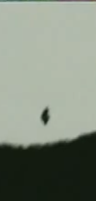 La Bruja 
